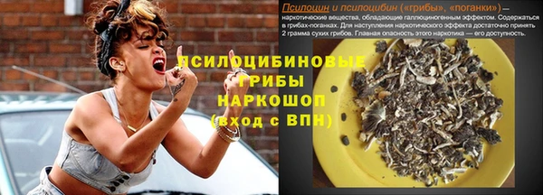 apvp Ладушкин