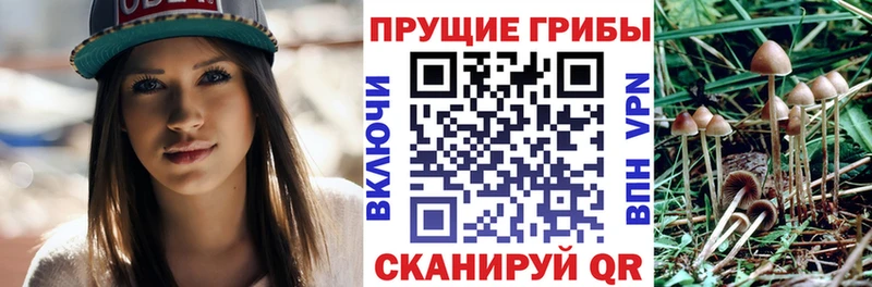 Галлюциногенные грибы мухоморы  kraken ONION  Лысьва  купить закладку 